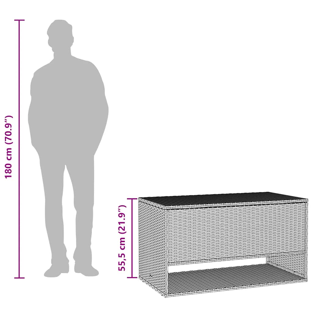 Opbergbox Voor Buiten 100X55X55,5 Cm Poly Rattan