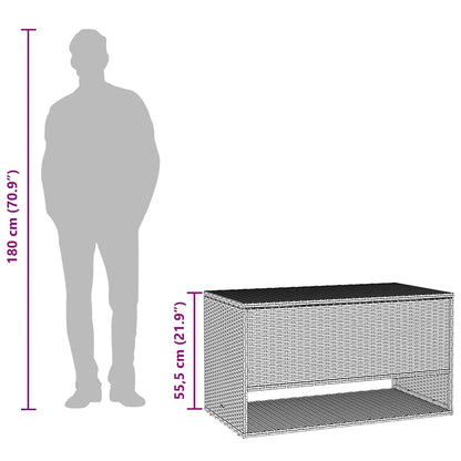 Opbergbox Voor Buiten 100X55X55,5 Cm Poly Rattan